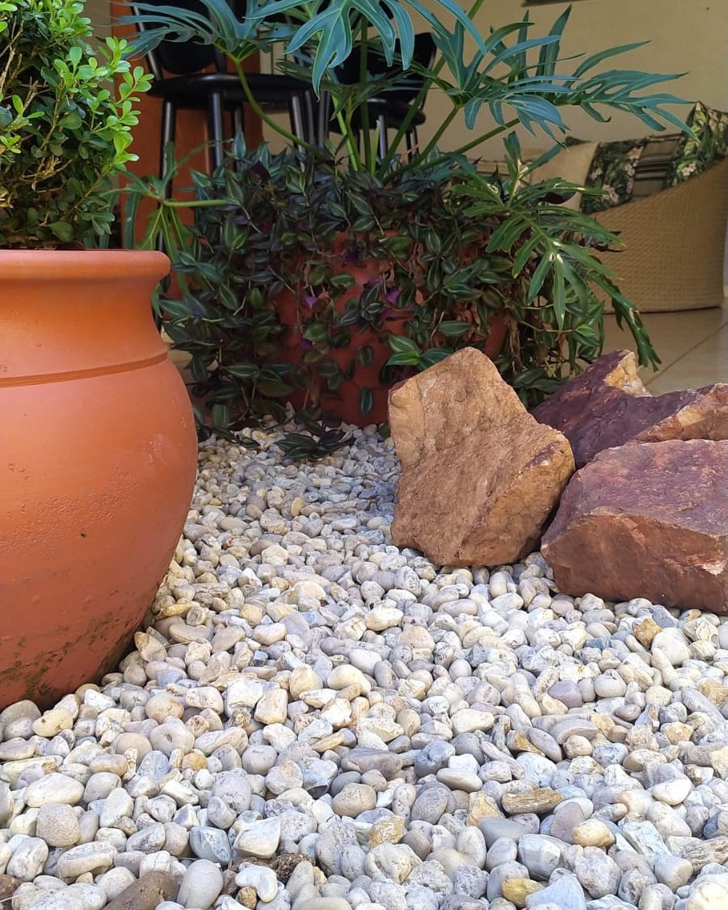 Detalhe de jardim